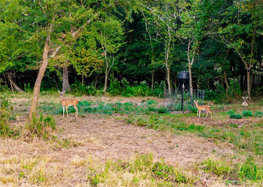 610 County Road 2300 Property Photo 10