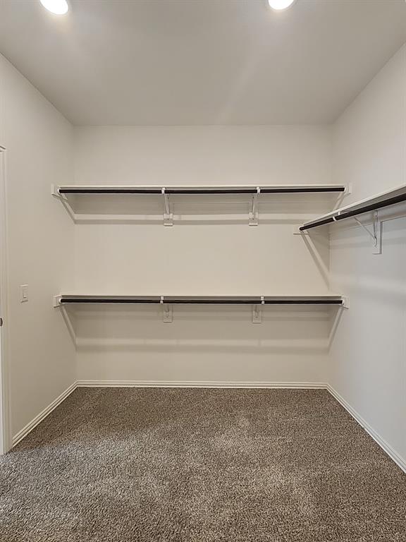 900 Superbloom Avenue Property Photo 19