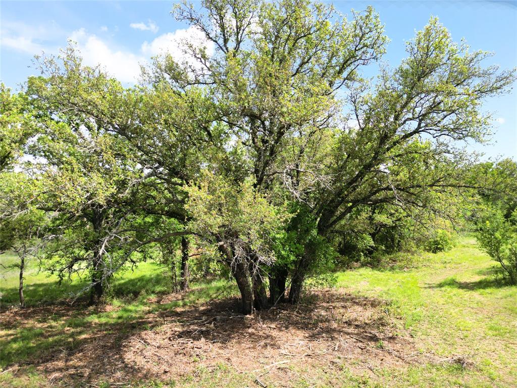 569 Fm Property Photo 5