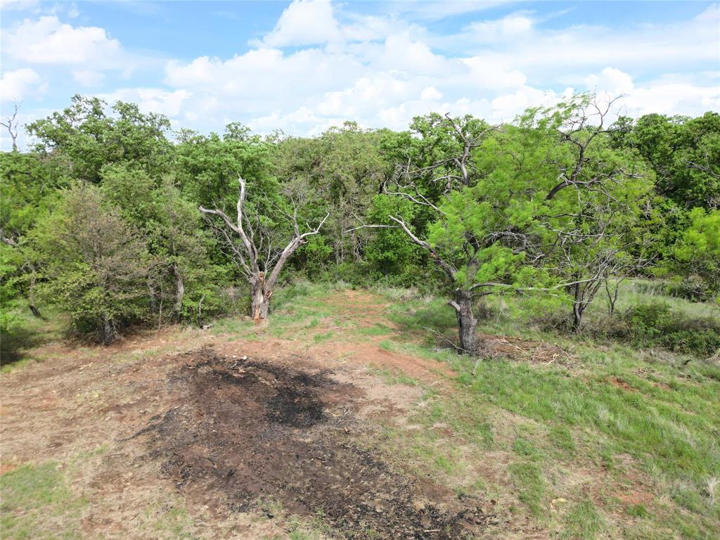 569 Fm Property Photo 15