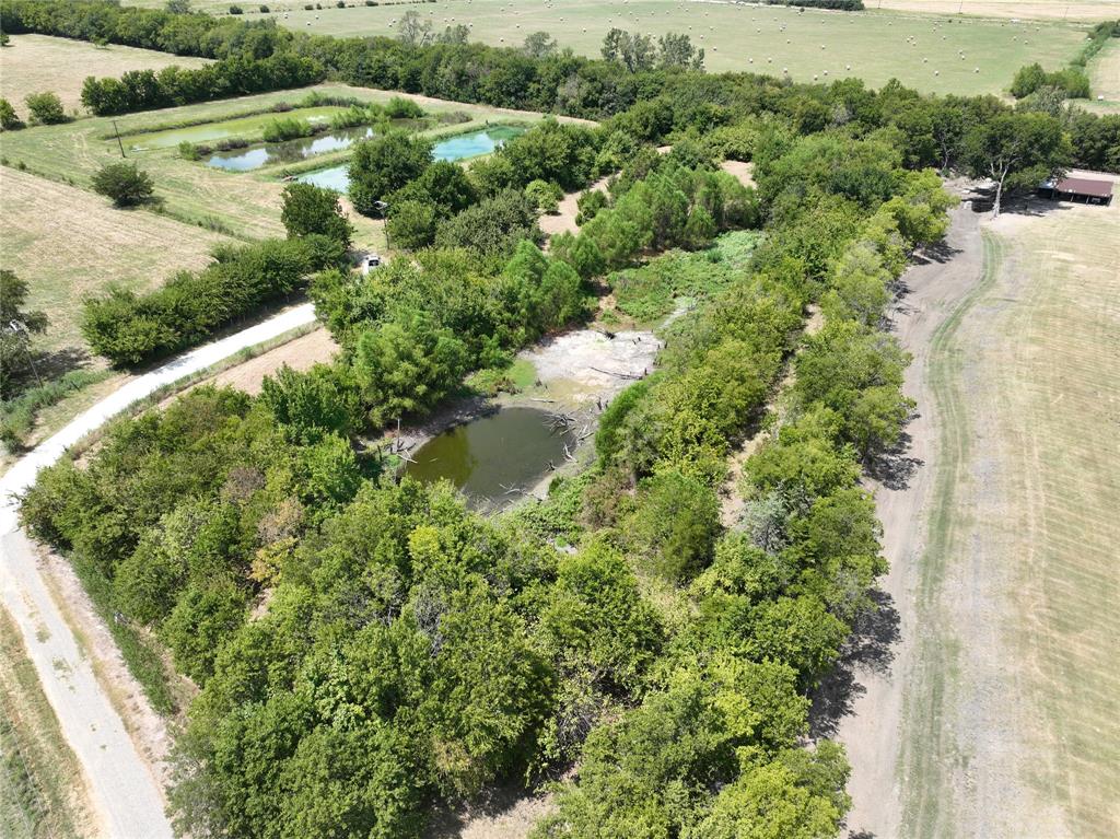 Tbd County Road 26701 Property Photo 5