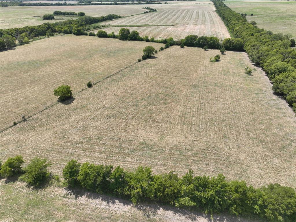 Tbd County Road 26701 Property Photo 6
