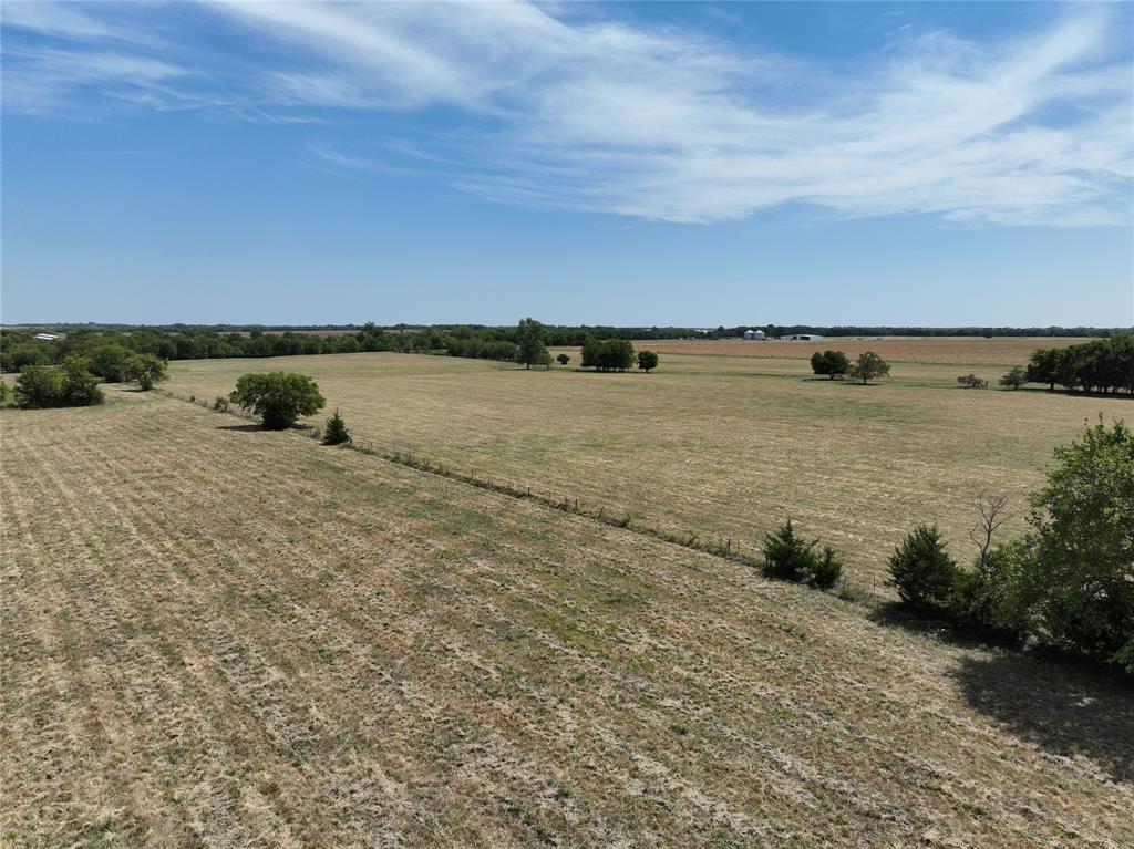 Tbd County Road 26701 Property Photo 9