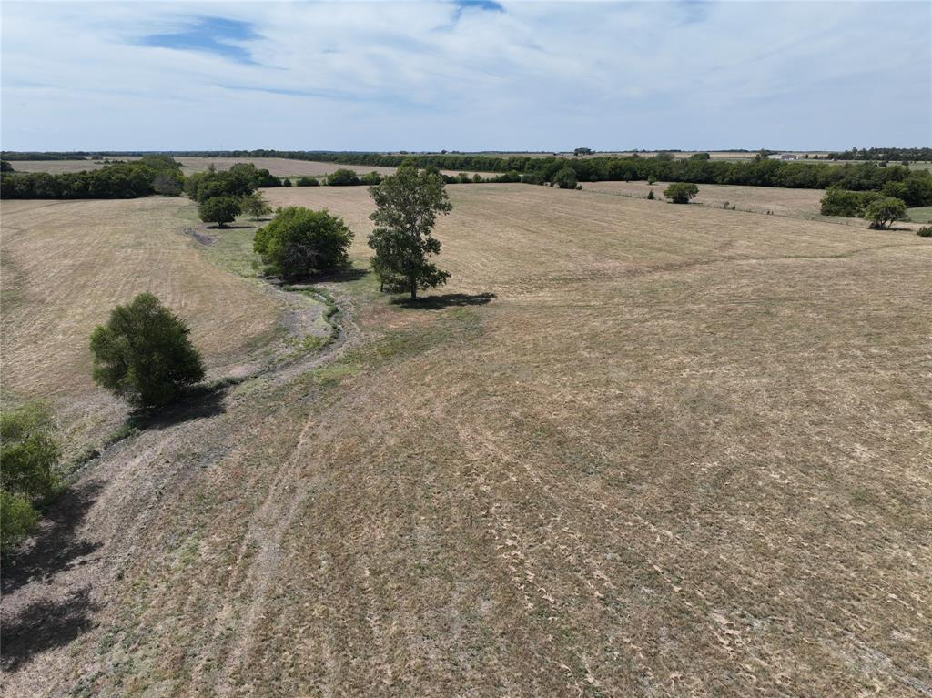 Tbd County Road 26701 Property Photo 14