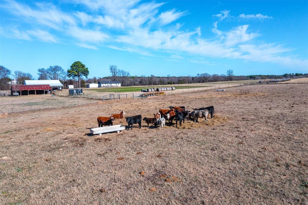 8612 Fm 1616 Property Photo 33