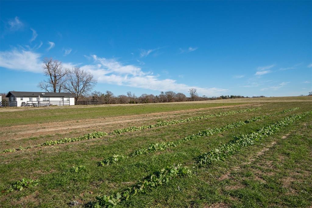 8612 Fm 1616 Property Photo 38