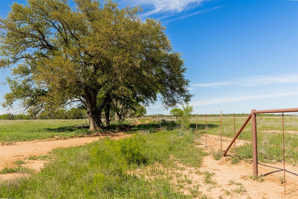 Tbd 200 County Road 121 Property Photo 16