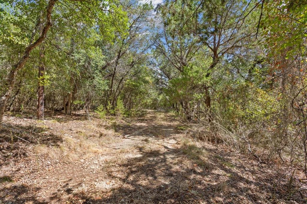 444 Red Bud Hill Property Photo 17