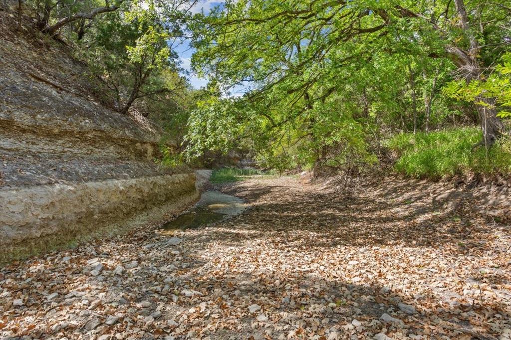 444 Red Bud Hill Property Photo 19