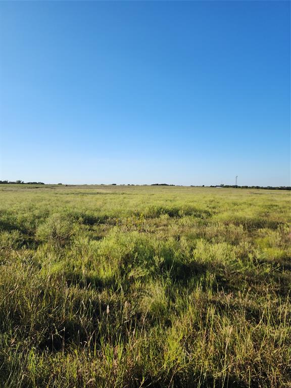 1410 Fm 1446 Property Photo 5