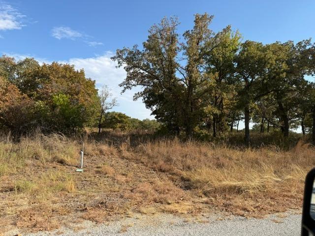17 Crestline Court Property Photo 1