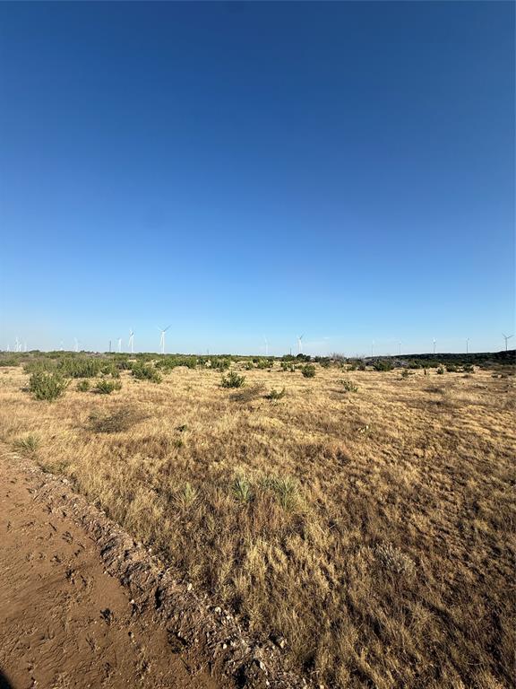 2033 Cr 351 Property Photo 6