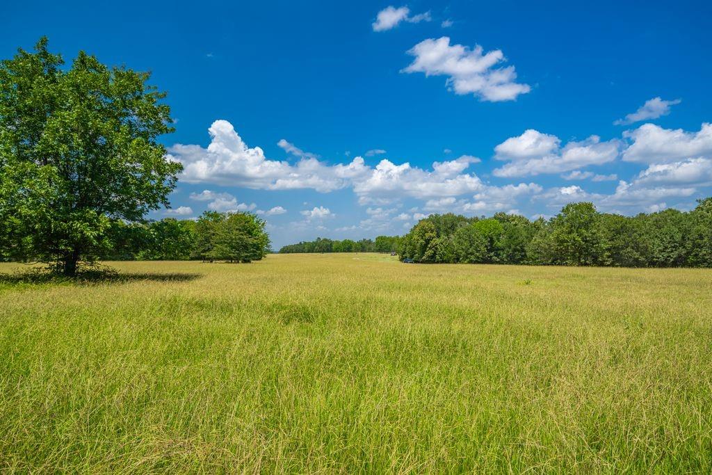 0 County Road 3573 Property Photo 12