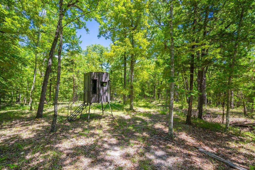 0 County Road 3573 Property Photo 13