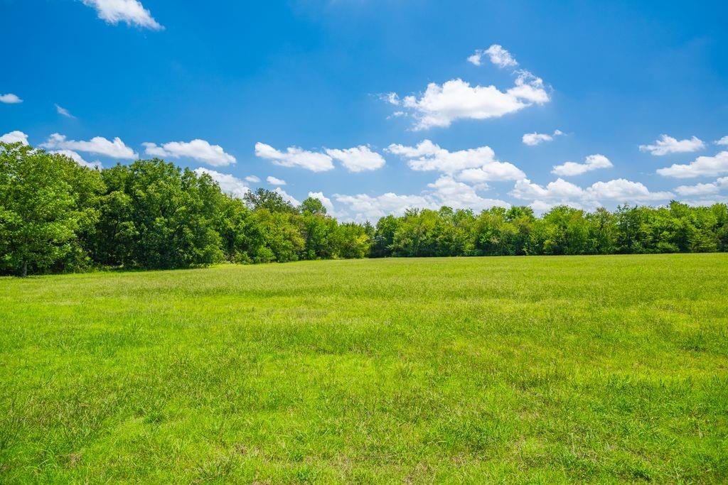 0 County Road 3573 Property Photo 19