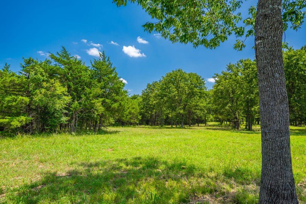 0 County Road 3573 Property Photo 20