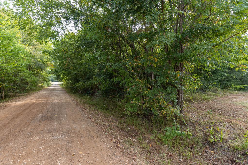 185 Hackberry