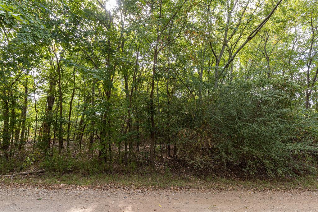 185 Hackberry Property Photo 2