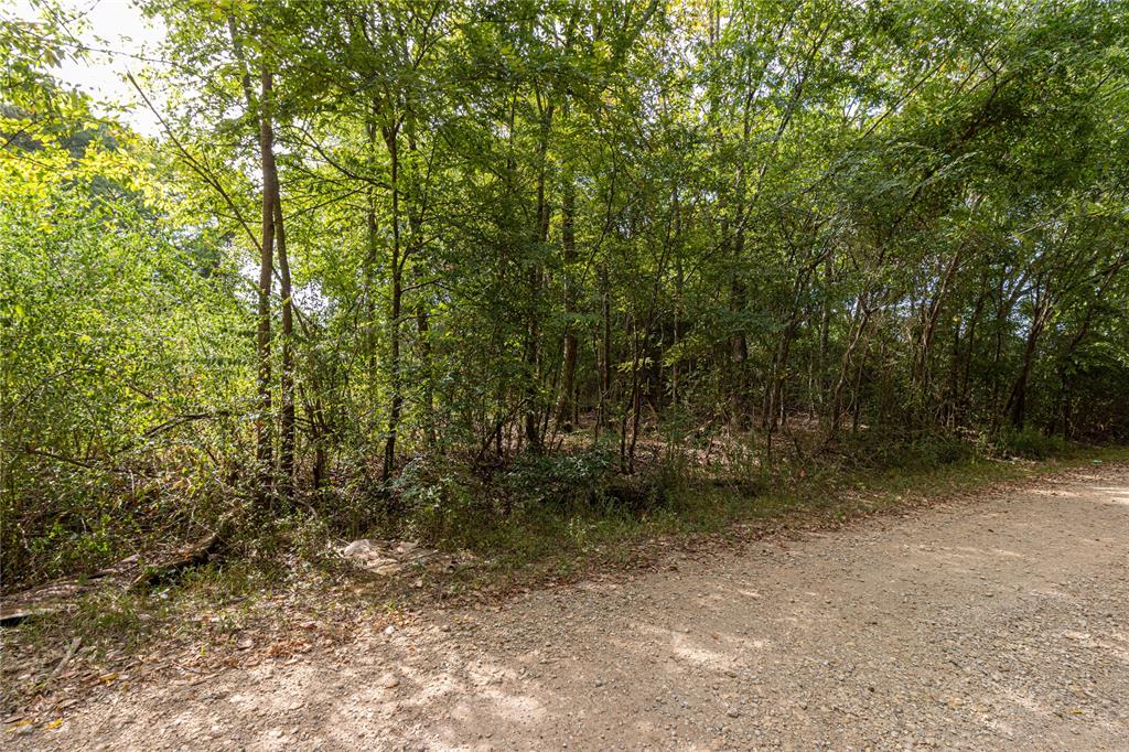 185 Hackberry Property Photo 3