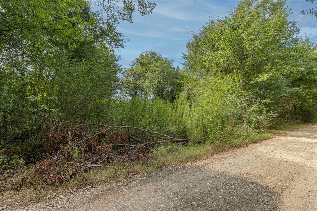 185 Hackberry Property Photo 4