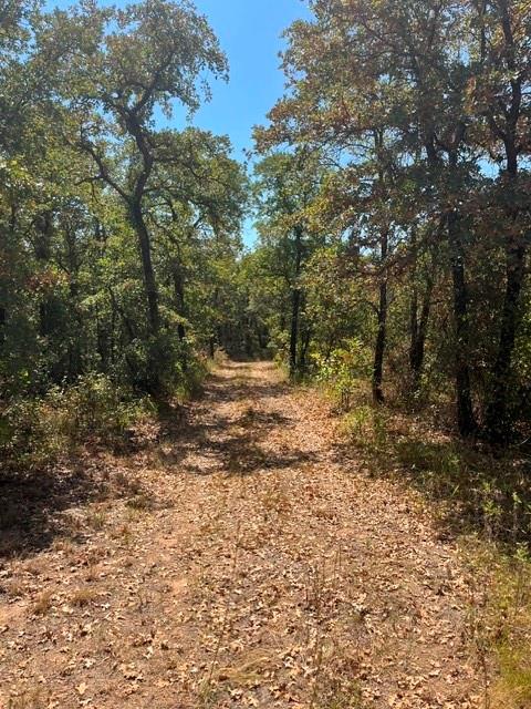 19.09 Ac N Mason Property Photo 1
