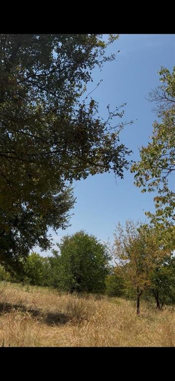 103234 Hillside Circle Property Photo 1