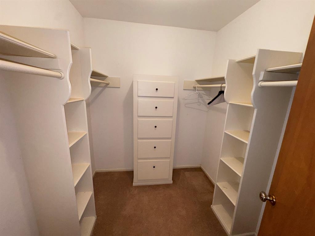 806 Sharpshire Street Property Photo 35