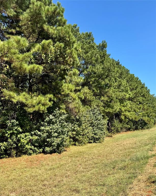 0 Hwy 9 Property Photo 1