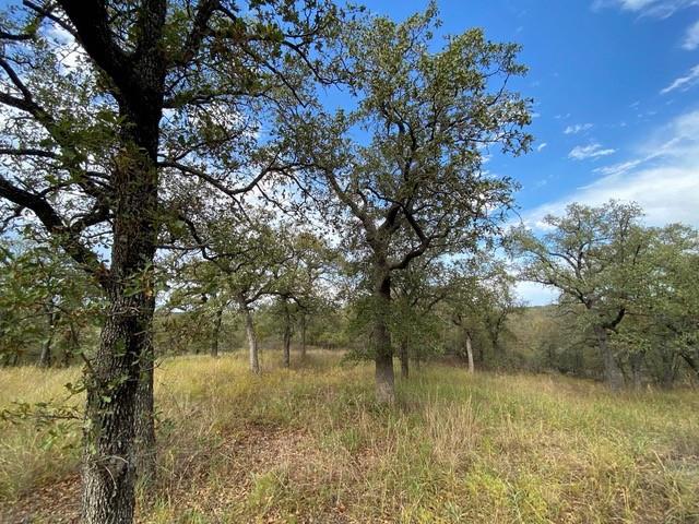 155 Phillips Property Photo 8