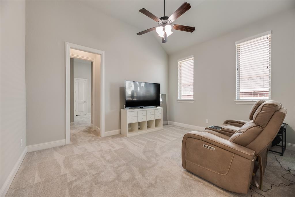 3815 Alleyton Way Property Photo 23