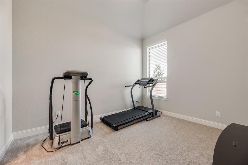 3815 Alleyton Way Property Photo 26