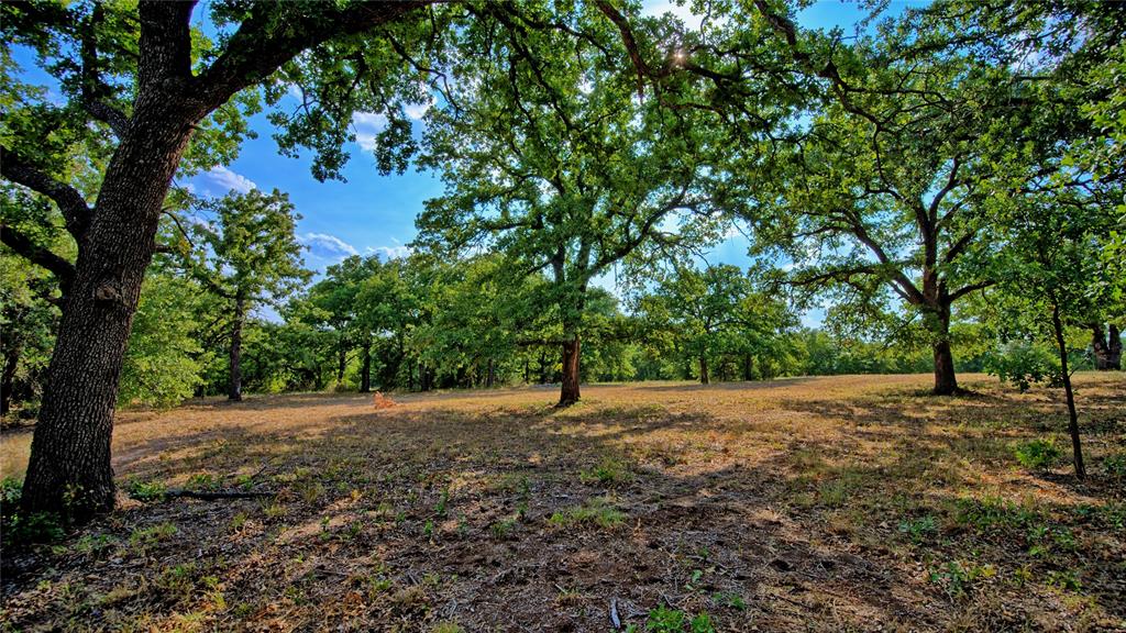 384 Red Oak Hills Road Property Photo 5