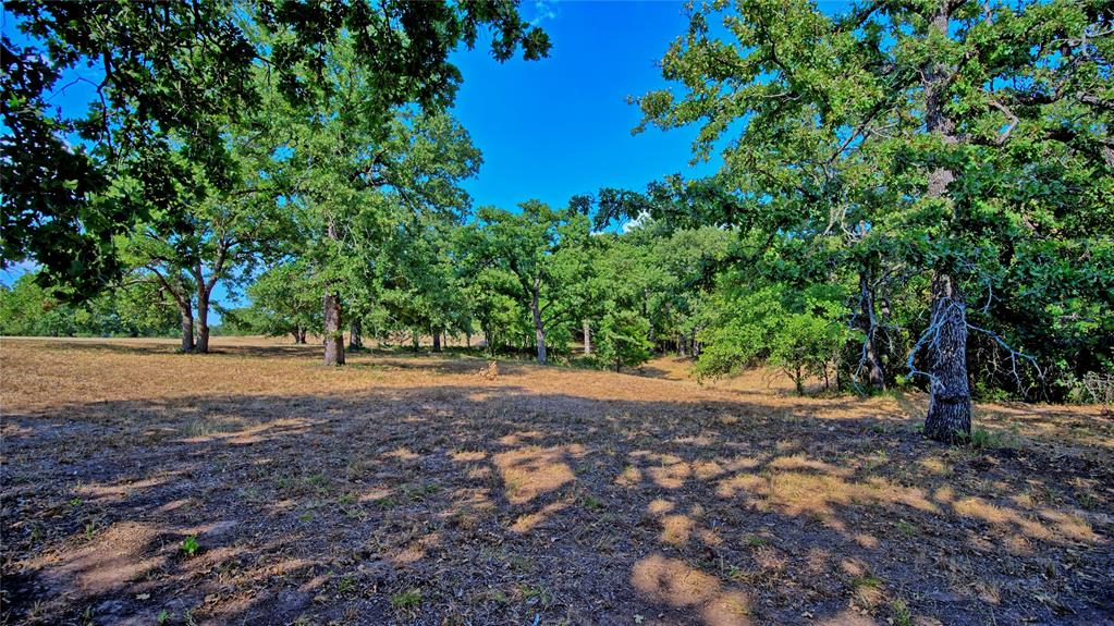 384 Red Oak Hills Road Property Photo 6