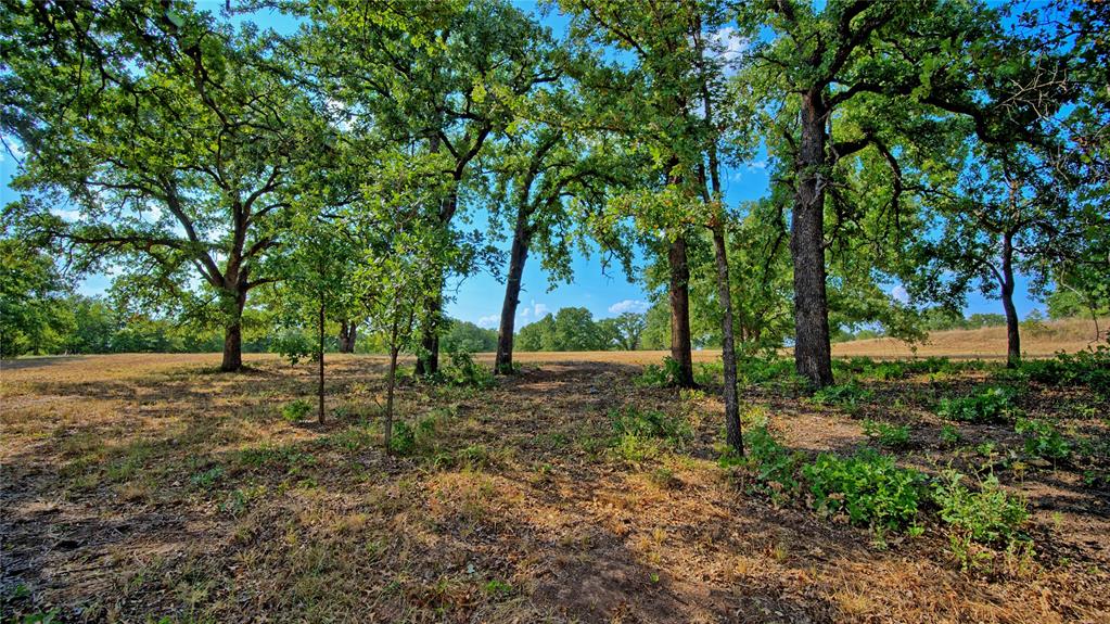 384 Red Oak Hills Road Property Photo 7