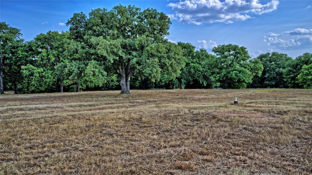 384 Red Oak Hills Road Property Photo 16