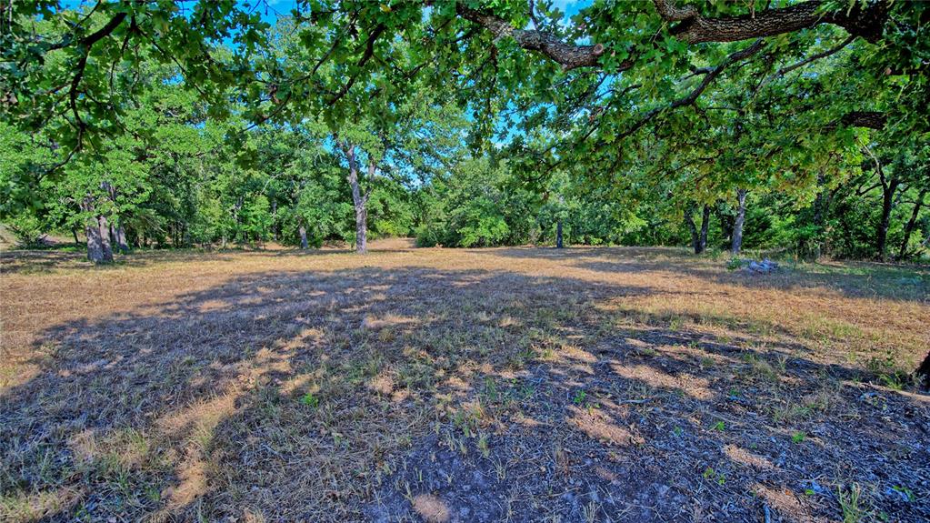 384 Red Oak Hills Road Property Photo 17