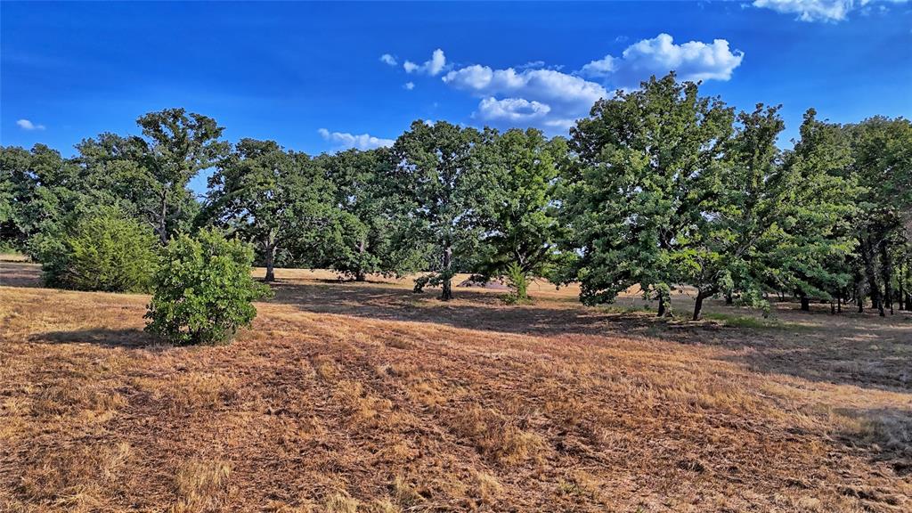 384 Red Oak Hills Road Property Photo 19