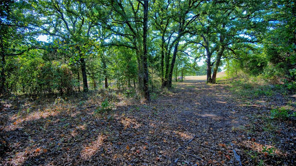 384 Red Oak Hills Road Property Photo 21