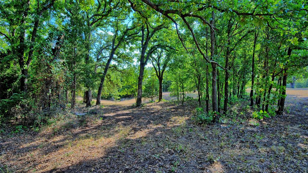 384 Red Oak Hills Road Property Photo 26