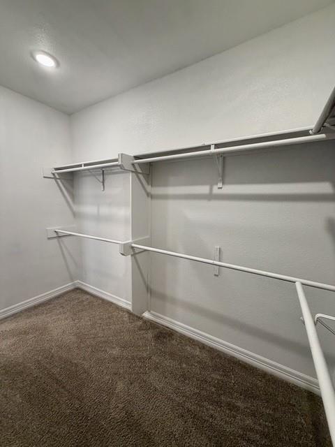 3903 Le Brooke Lane Property Photo 15