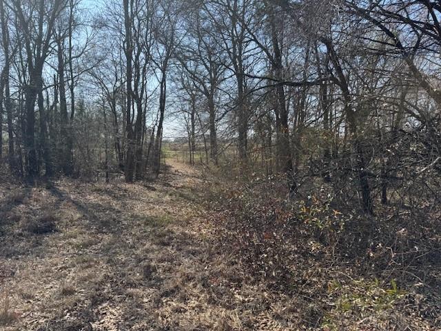 Tbd Cr 1575 Property Photo 8