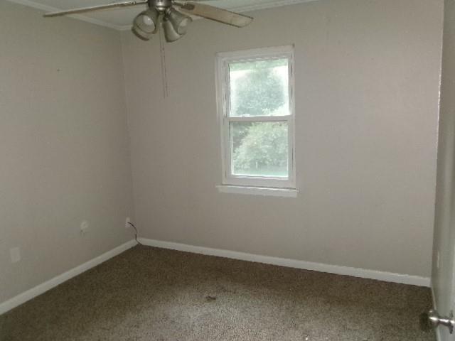 101 Pine Lake Drive Property Photo 13