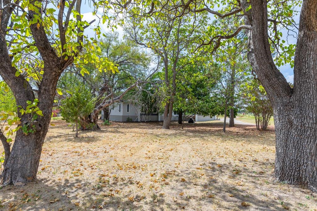 585 County Road 113 Property Photo 35