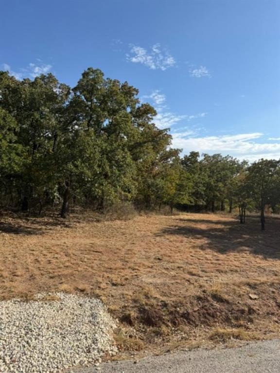 186 Cherokee Trail Property Photo 1