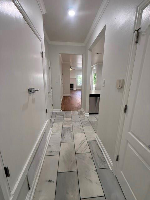 4125 Holland Avenue 203 Property Photo 10