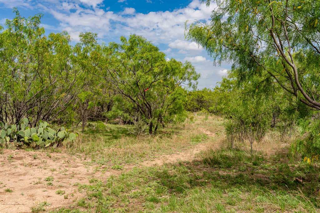 1032 Braune Road Property Photo 26