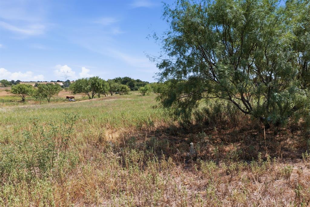 126 Common Way Property Photo 25