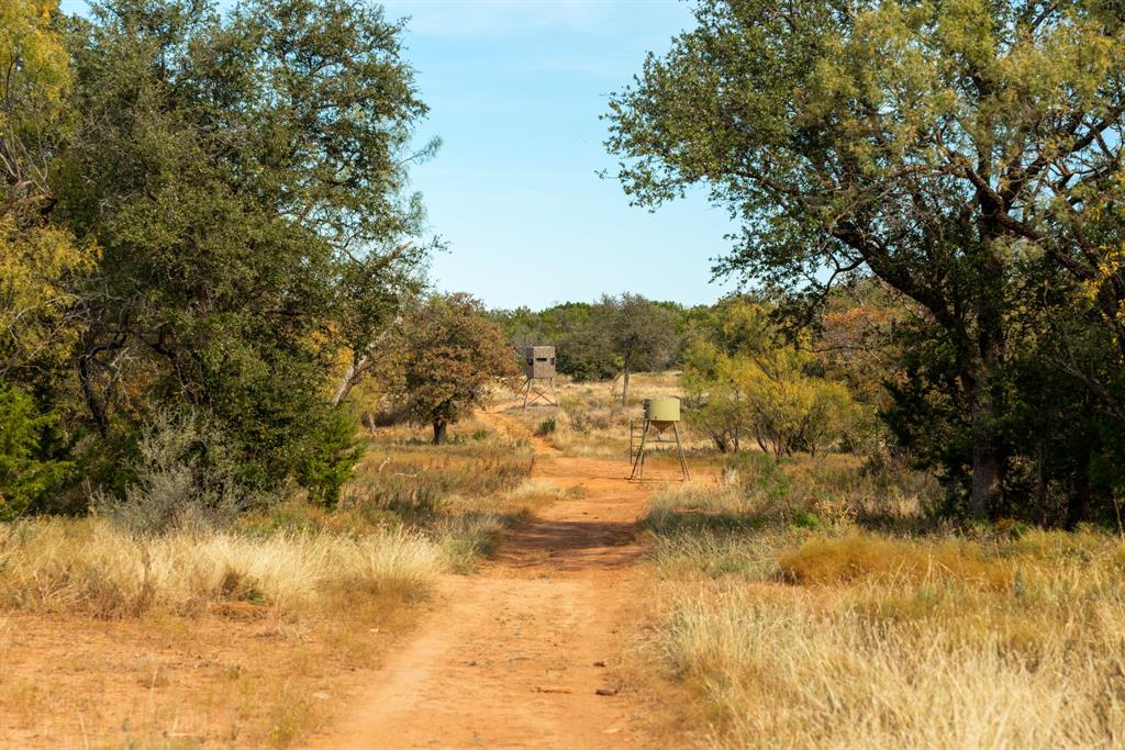 Buffalo4 Ranch Cr 290 Property Photo 15
