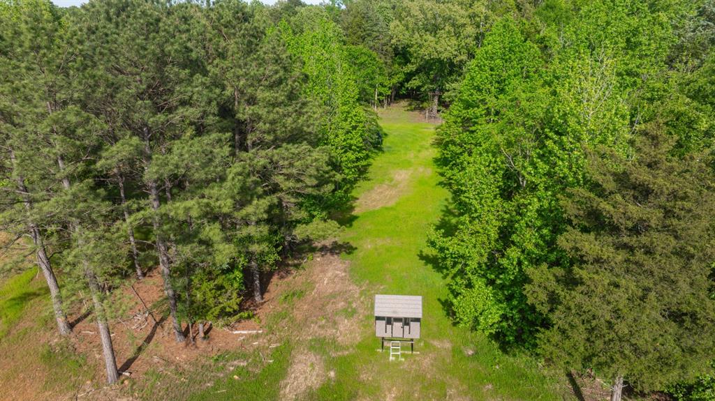 8324 Fm 44 Property Photo 36