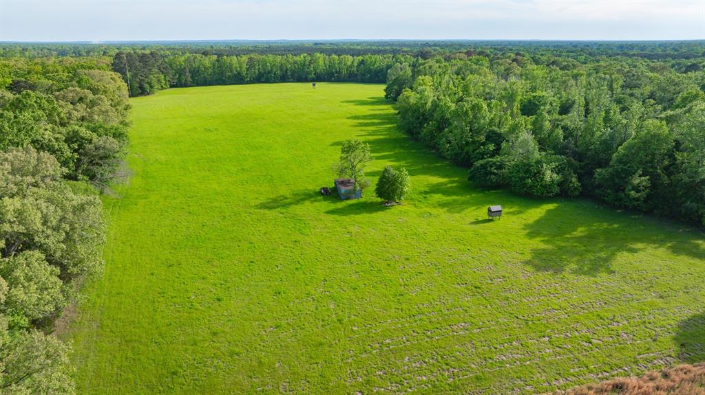 8324 Fm 44 Property Photo 38